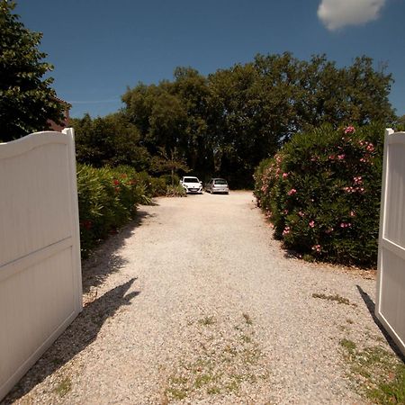 Chambres D'Hotes Le Mas Du Bijou Bleu Puget-sur Argens Eksteriør bilde