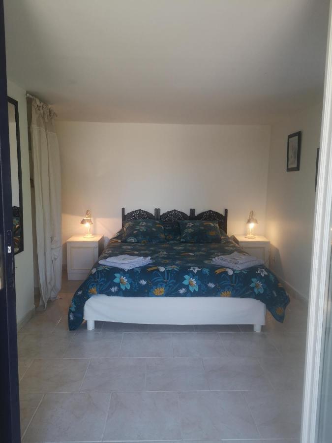 Chambres D'Hotes Le Mas Du Bijou Bleu Puget-sur Argens Eksteriør bilde