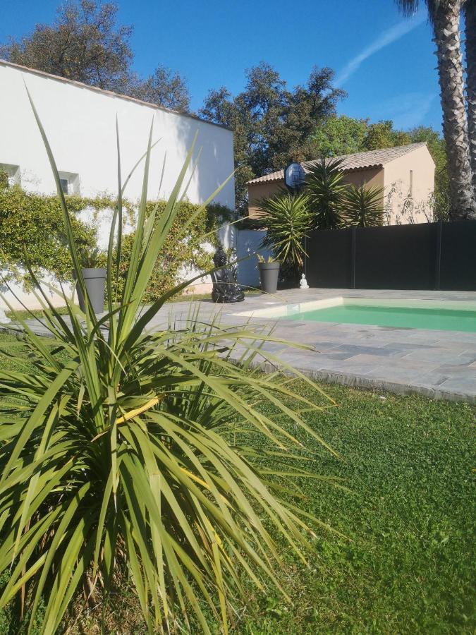 Chambres D'Hotes Le Mas Du Bijou Bleu Puget-sur Argens Eksteriør bilde